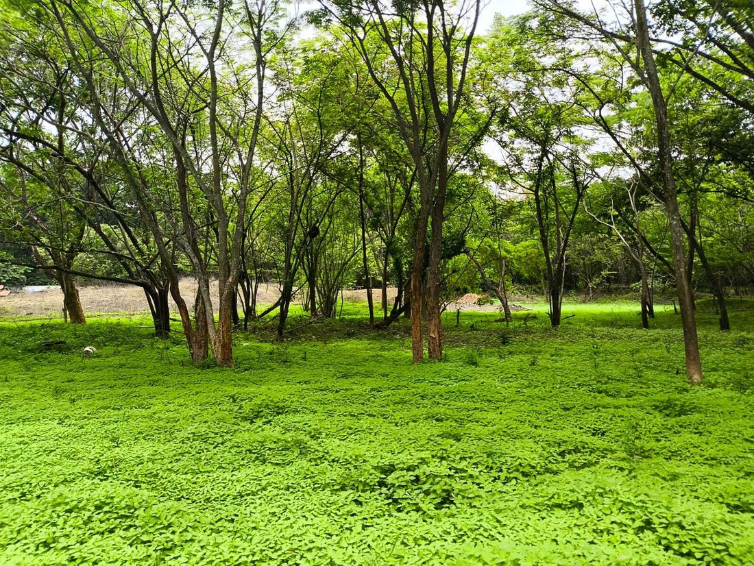 Land in Barco Quebrado, Guanacaste Province, Costa Rica 2 - 18238599