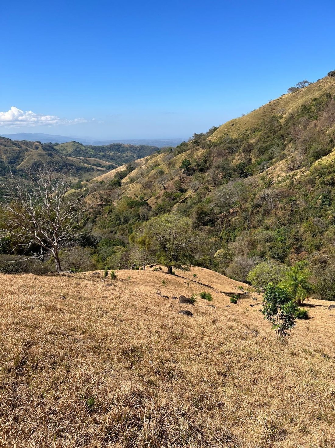 Land in San Mateo, Guanacaste Province, Costa Rica 3 - 18239583