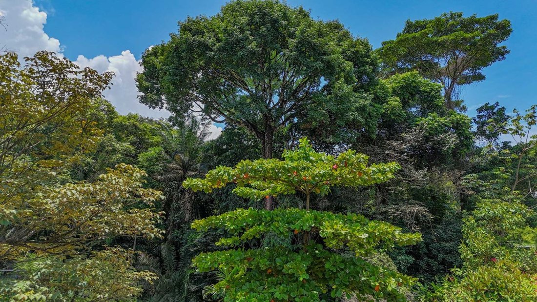 Land in Ojochal, Puntarenas Province, Costa Rica 2 - 18241538