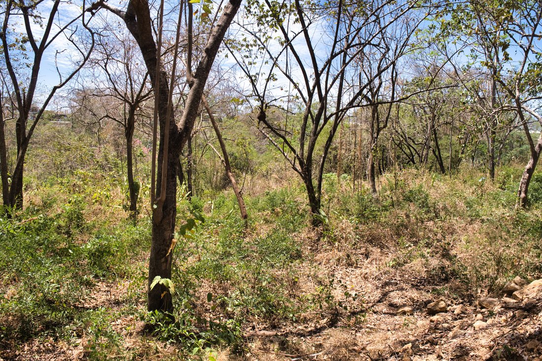 Land in Playa Pelada, Guanacaste Province, Costa Rica 3 - 18240149