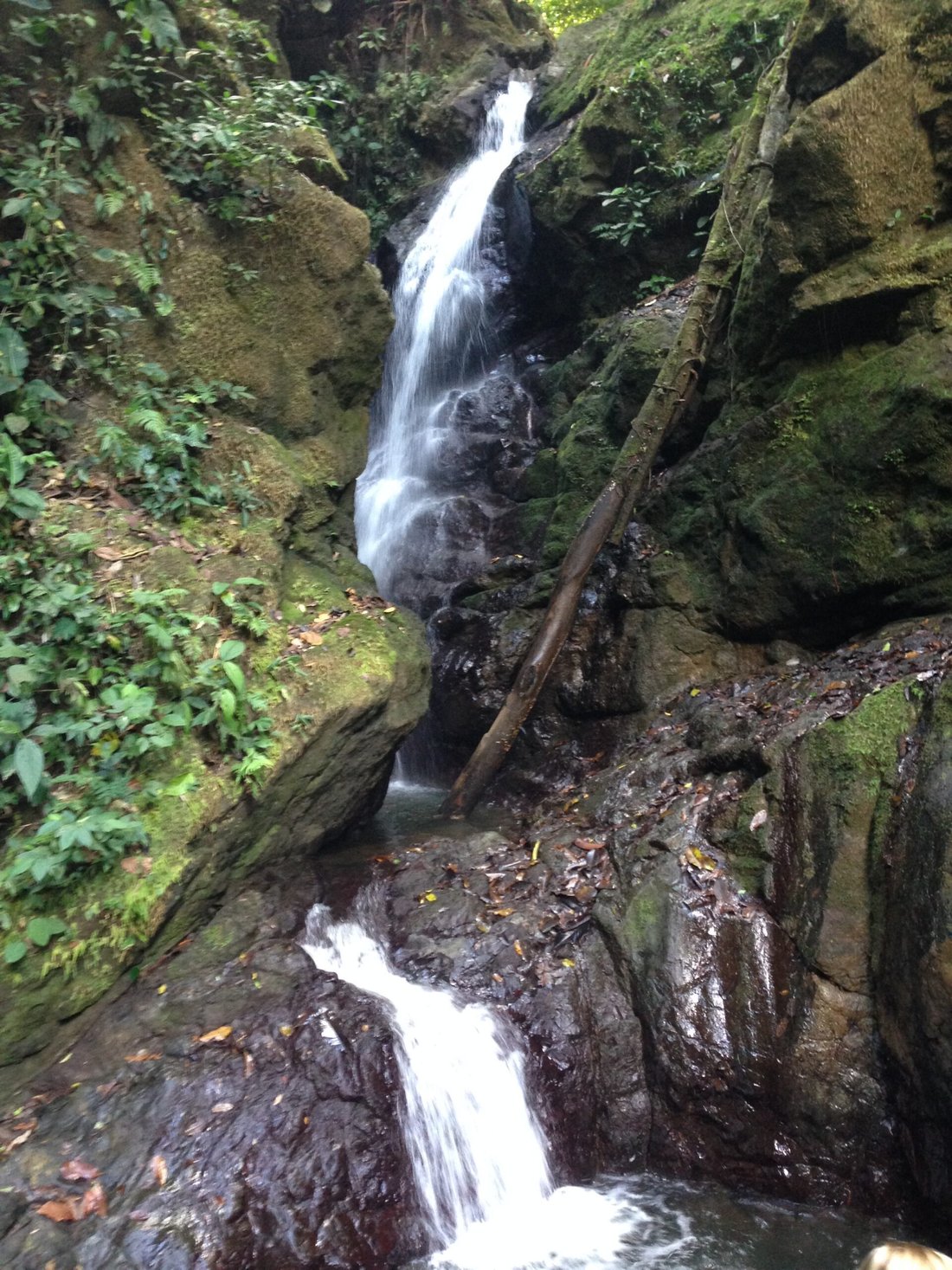 Land in Cuervito, Puntarenas Province, Costa Rica 2 - 18246540