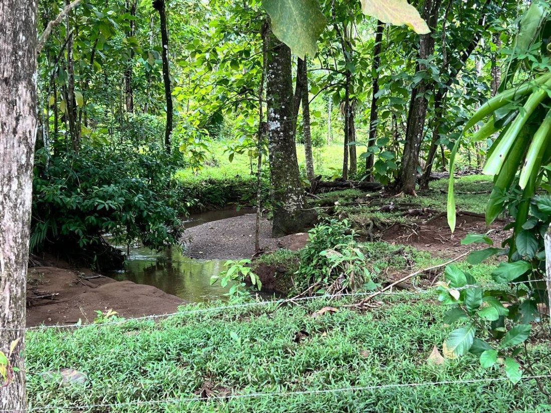 Land in Parrita, Parrita, Costa Rica 1 - 18241113