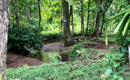 Terreno in Parrita, Parrita, Costa Rica 1