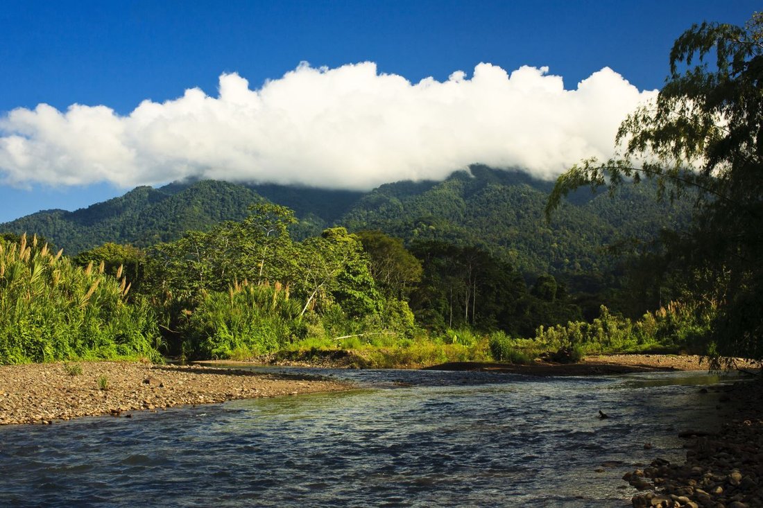 Land in Quepos, Puntarenas Province, Costa Rica 1 - 18237685