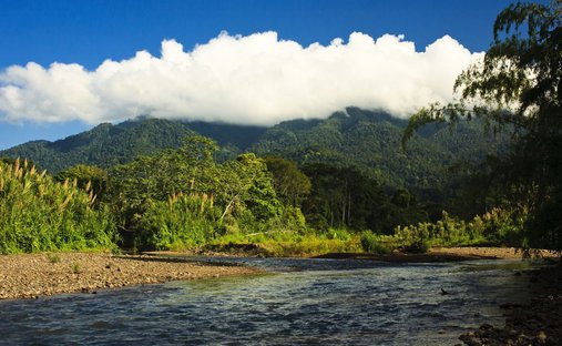 Land in Quepos, Puntarenas Province, Costa Rica 1