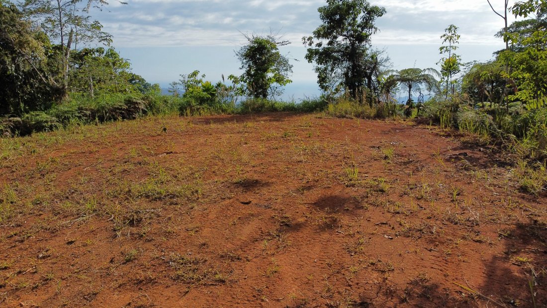 Land in Garabito, Costa Rica 4 - 18241828