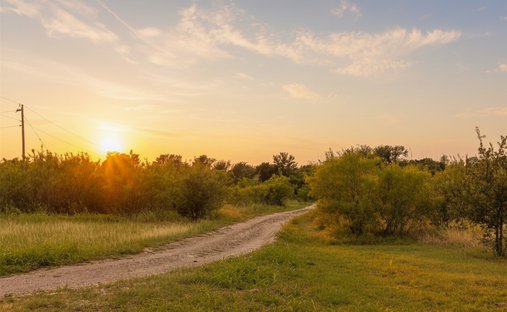 Farm Ranch in Coupland, Texas, United States 1