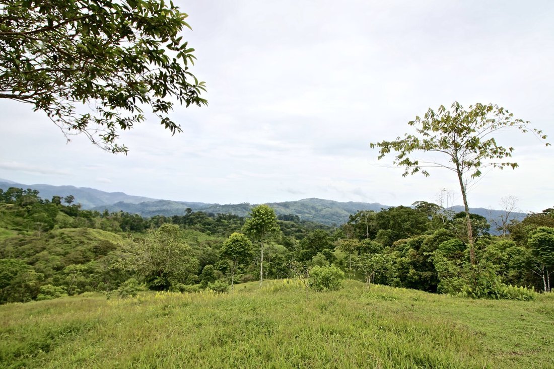 Land in Turrialba, Cartago Province, Costa Rica 5 - 18239248