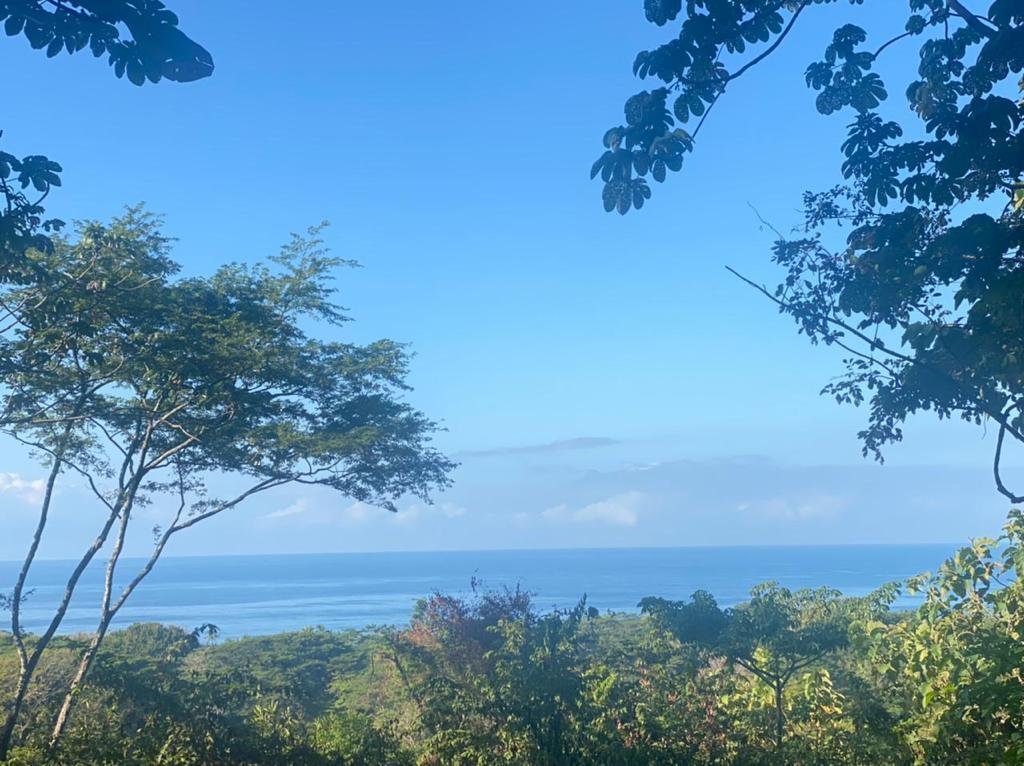 House in Santiago, Puntarenas Province, Costa Rica 5 - 18235793