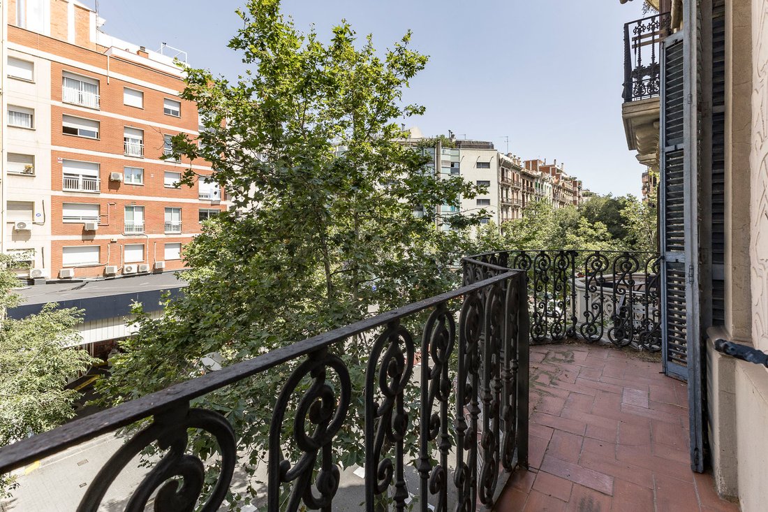 Apartment in Eixample, Barcelona, Spain 4 - 18243188
