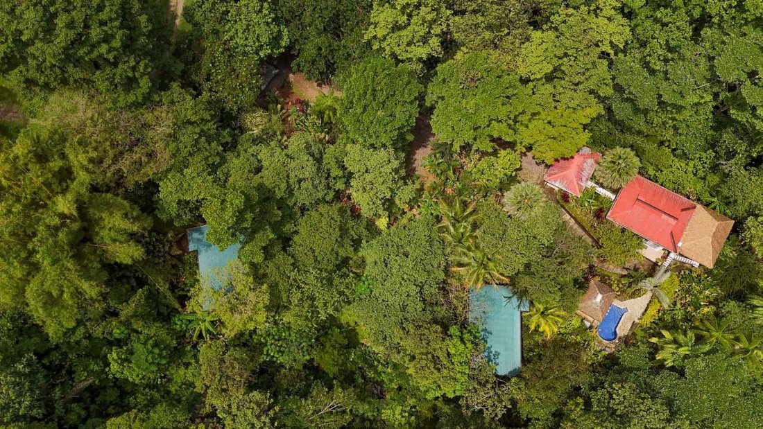 House in Ojochal, Puntarenas Province, Costa Rica 3 - 18241565