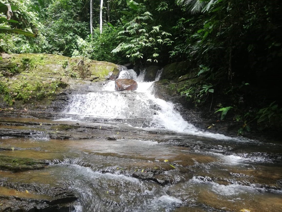 Land in Savegre de Aguirre, Puntarenas Province, Costa Rica 4 - 18237392
