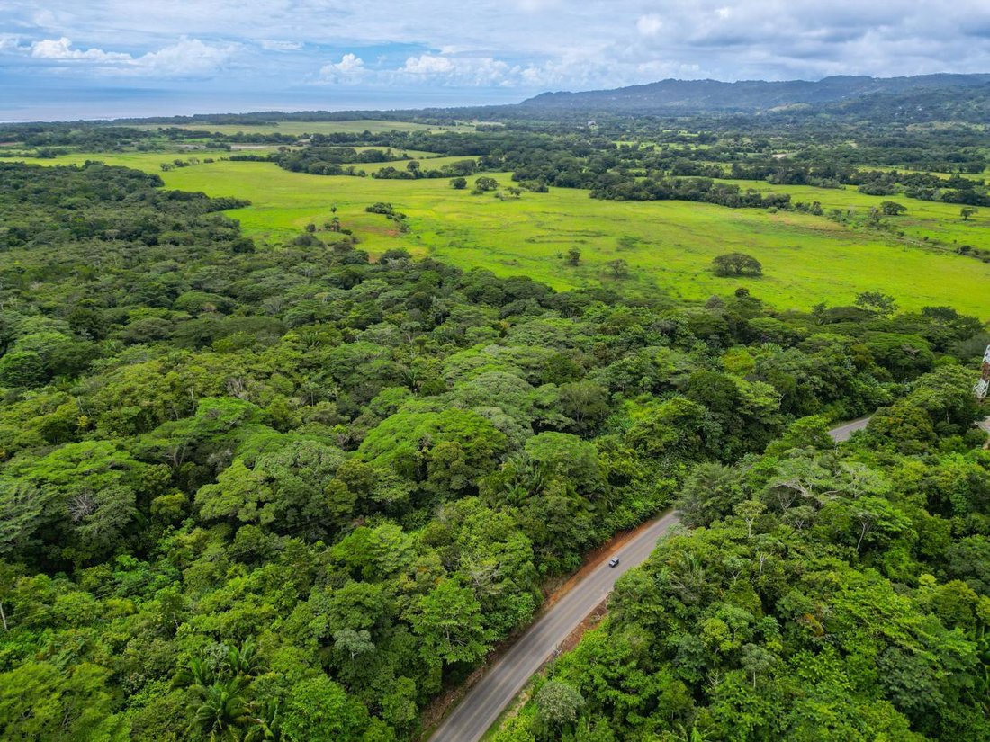 Terreno en Parrita, Provincia de Puntarenas, Costa Rica 1 - 18236103