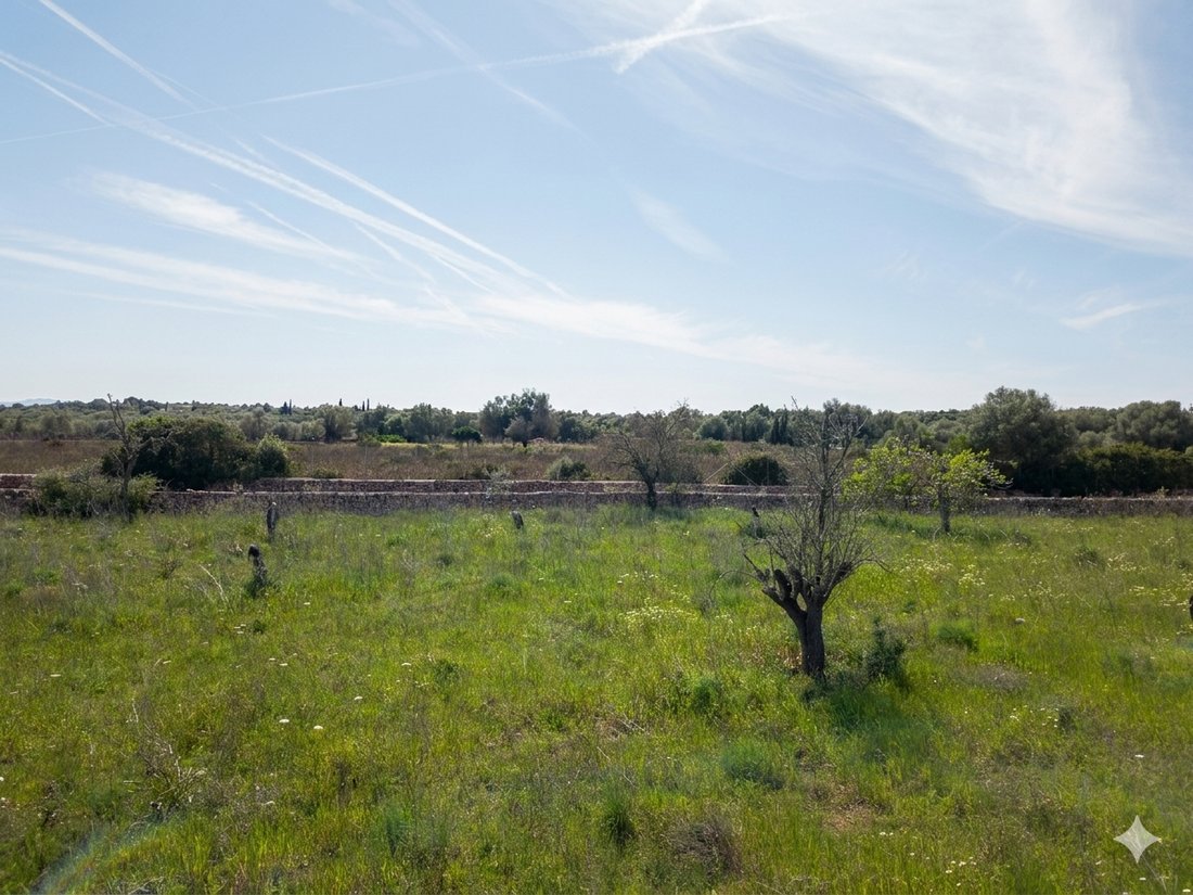 Terrain à Santa Margalida, Îles Baléares, Espagne 4 - 18241966