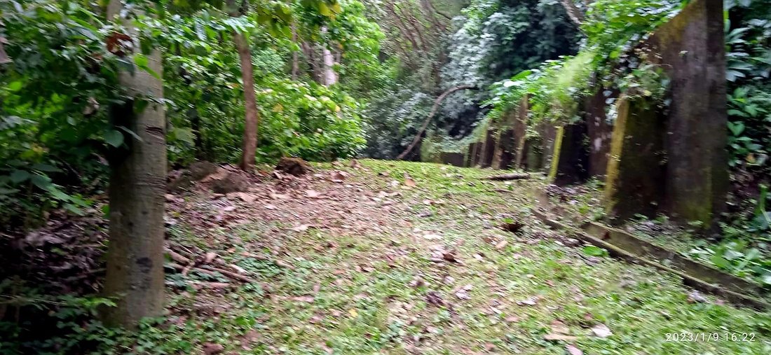 Land in Quepos, Puntarenas Province, Costa Rica 1 - 18237396