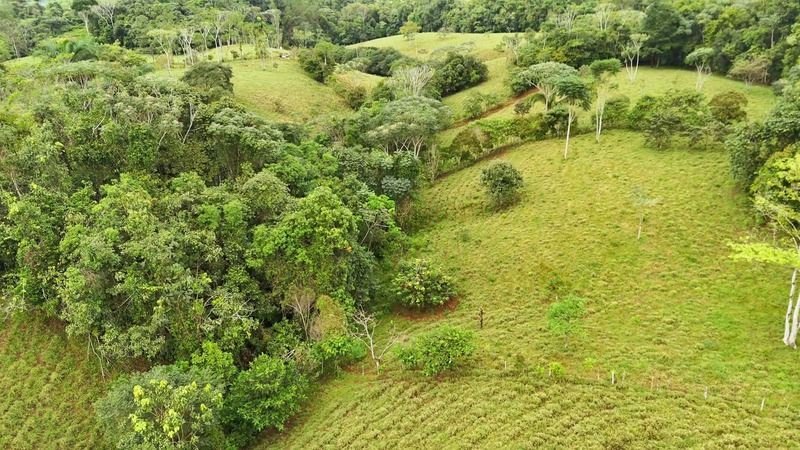 Land in Pérez Zeledón, Pérez Zeledón, Costa Rica 1 - 18241148