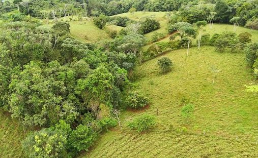 Terreno en Pérez Zeledón, Pérez Zeledón, Costa Rica 1