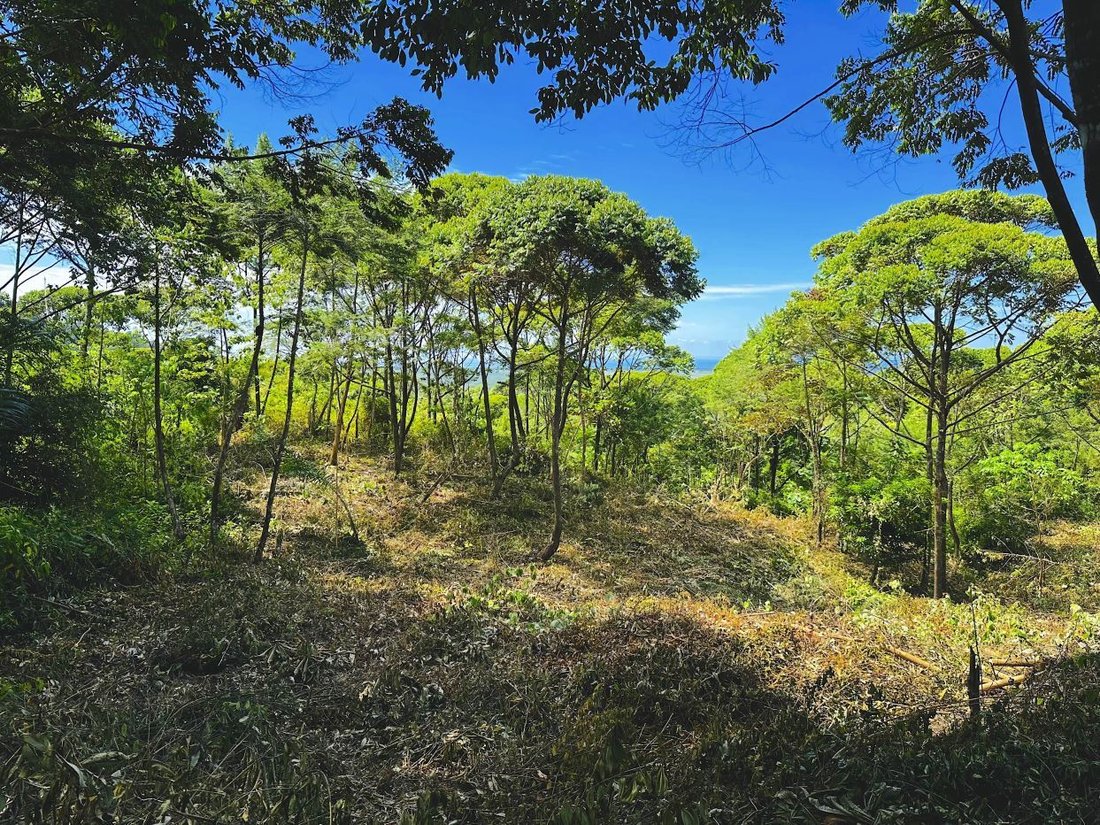 Land in Savegre de Aguirre, Puntarenas Province, Costa Rica 5 - 18238975
