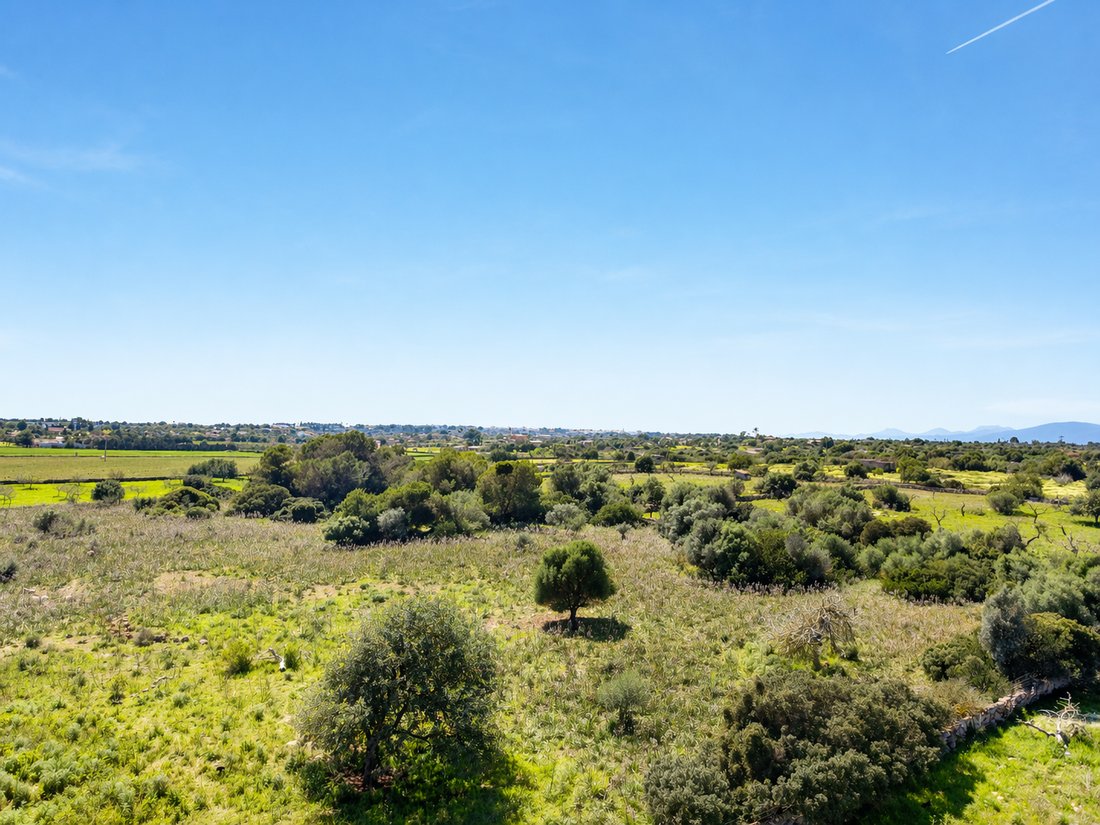 Terreno a Manacor, Isole Baleari, Spagna 4 - 18242081