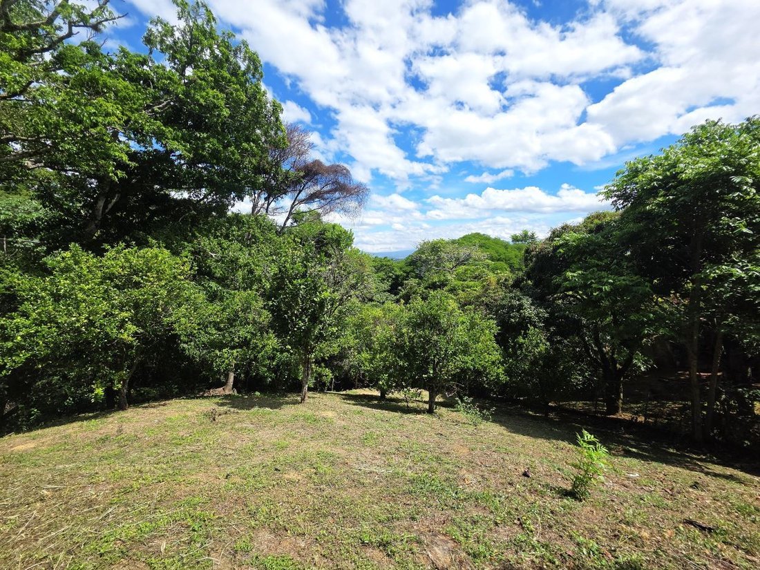 Land in Cinco Esquinas, San José Province, Costa Rica 5 - 18243844