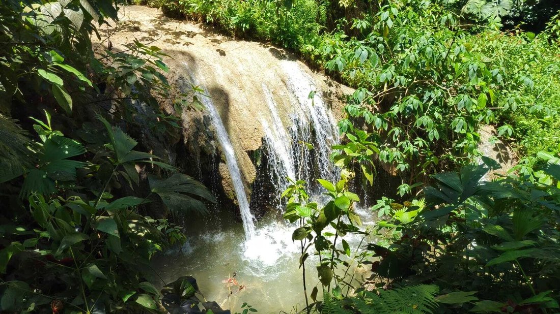 Land in Rio Claro, Provinz Puntarenas, Costa Rica 5 - 18246628