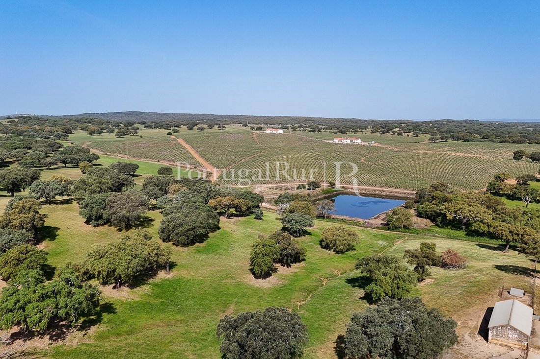 Estate in Sao Mancos e Sao Vicente do Pigeiro, Évora District, Portugal 5 - 18239129