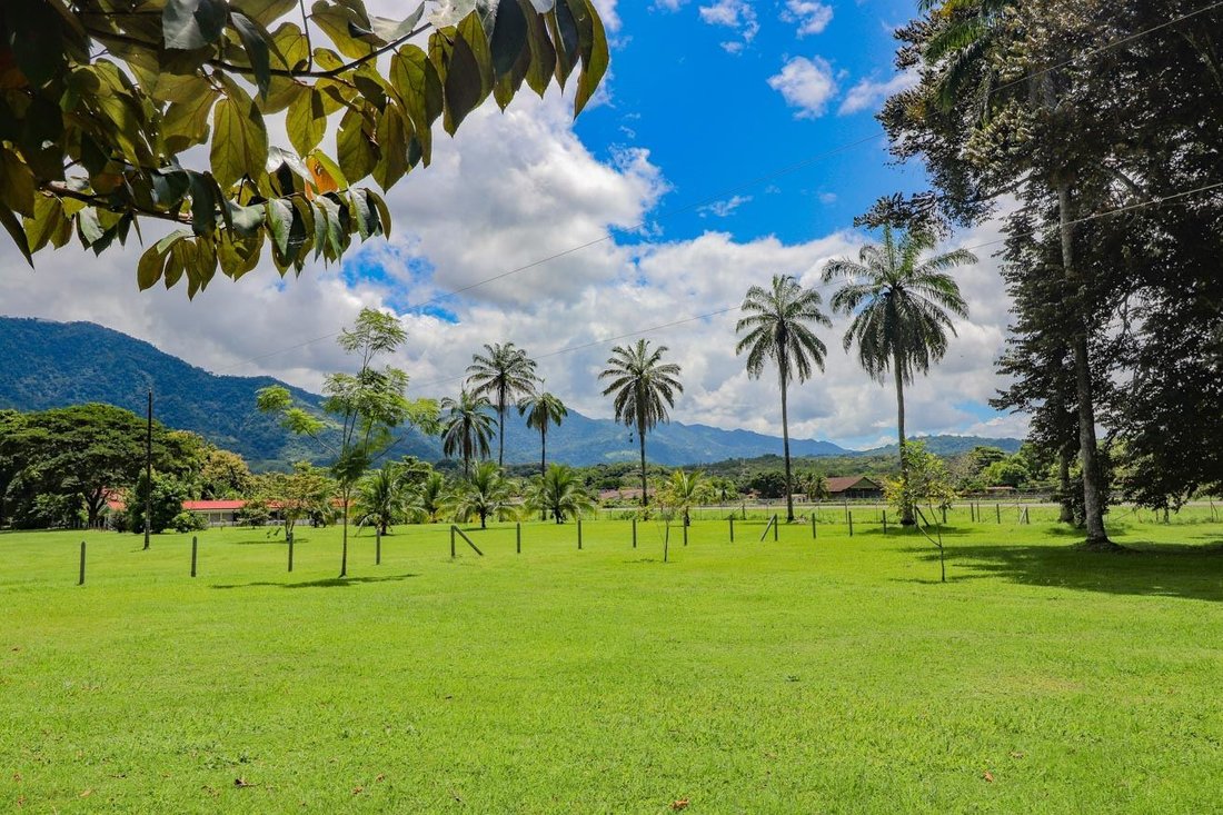 Land in Palmar Sur, Puntarenas Province, Costa Rica 1 - 18241091