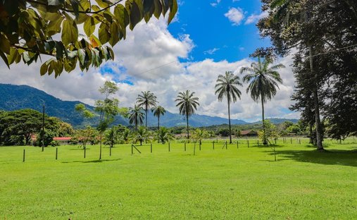 Land in Palmar Sur, Puntarenas Province, Costa Rica 1