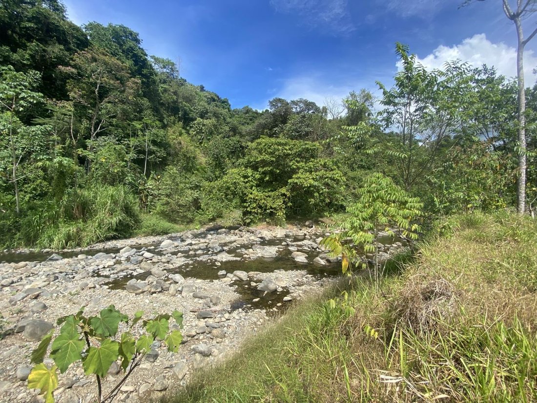 Land in Ciudad Cortés, Puntarenas Province, Costa Rica 5 - 18241732