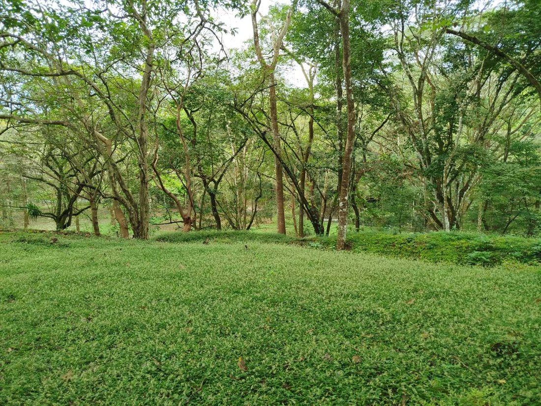 Land in Orotina, Orotina, Costa Rica 1 - 18238430