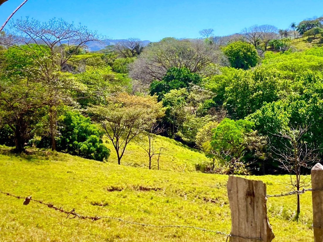 Land in Palmar, San José Province, Costa Rica 4 - 18238334