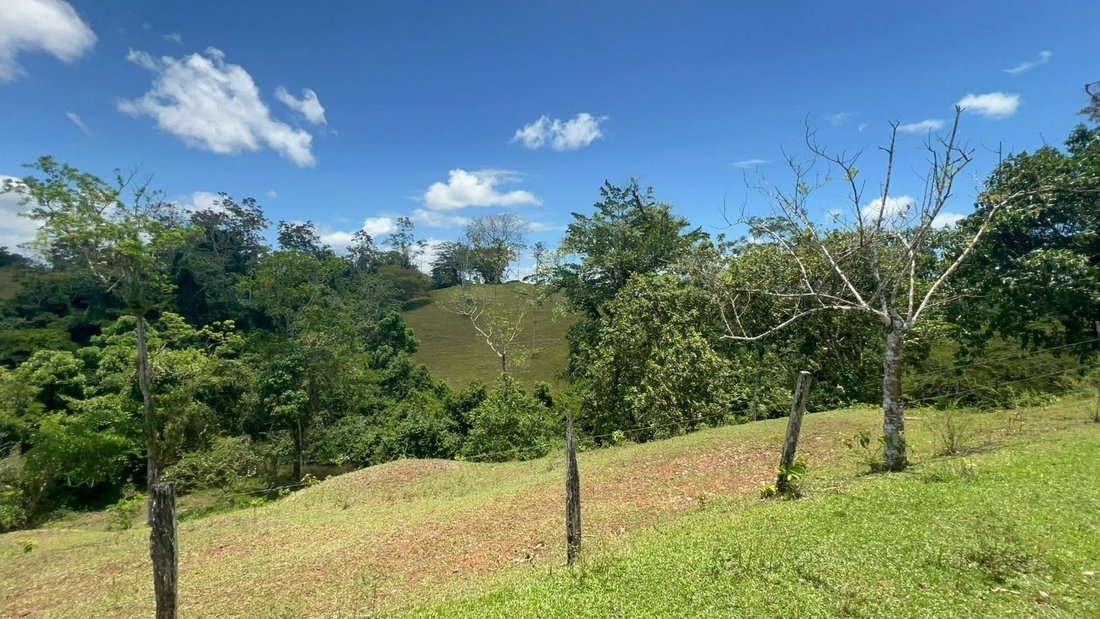 Terreno a Hacienda Buenos Aires, Provincia di Alajuela, Costa Rica 3 - 18240554