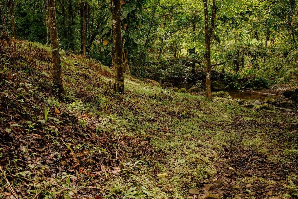 Land in Quepos, Puntarenas Province, Costa Rica 4 - 18241100
