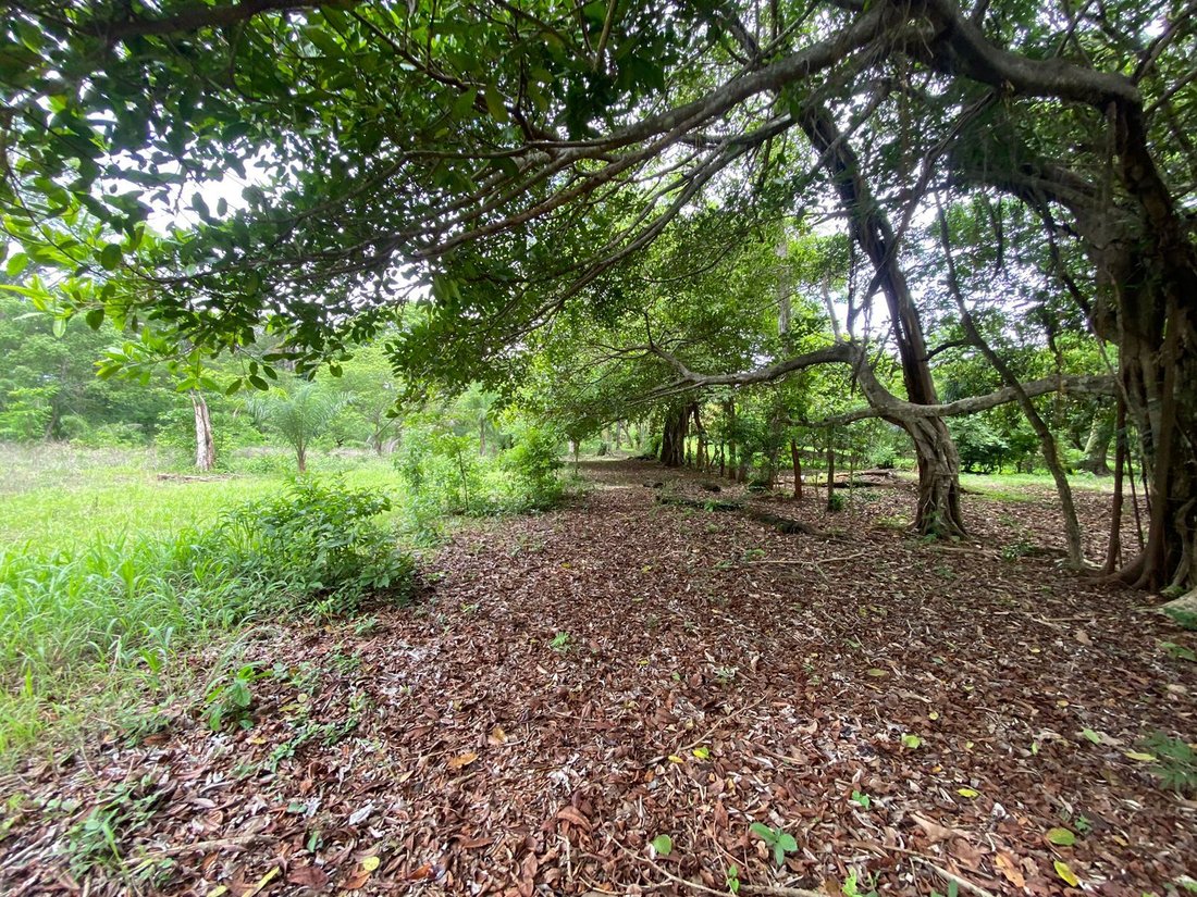 Land in Orotina, Orotina, Costa Rica 5 - 18239022