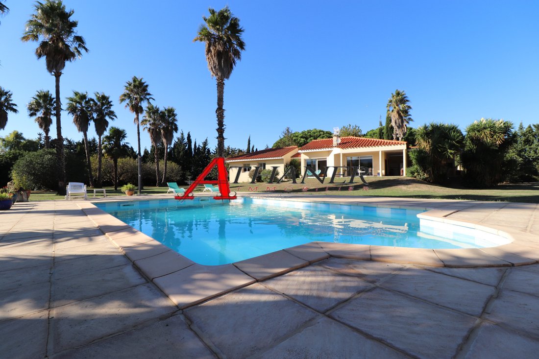 House in Argelès-sur-Mer, Occitania, France 1 - 16506327