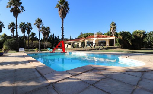 House in Argelès-sur-Mer, Occitania, France 1