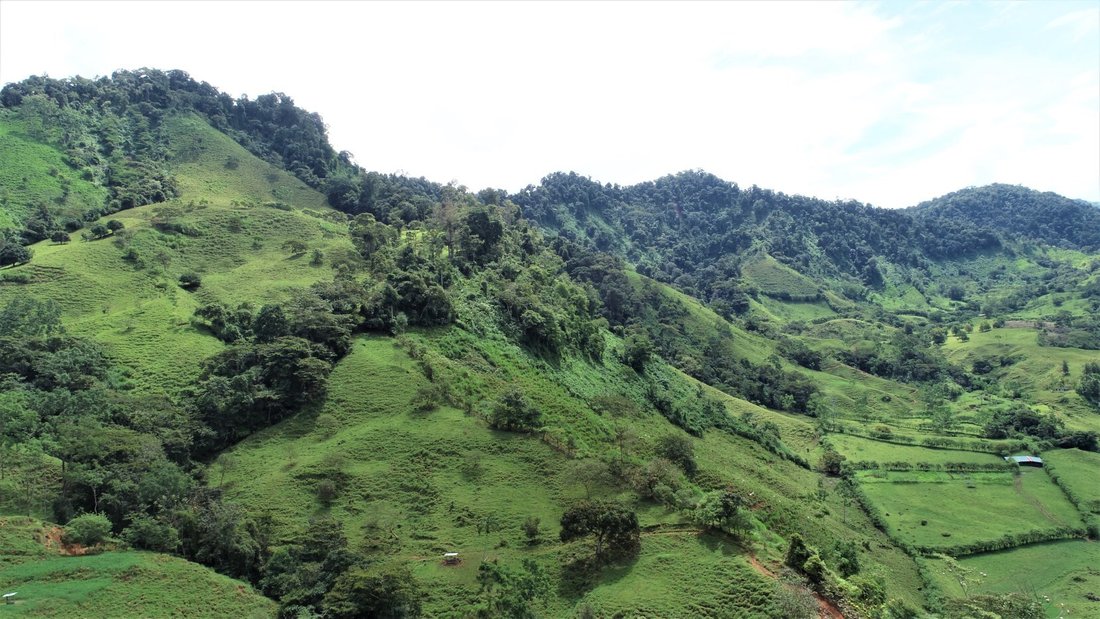 Land in San Isidro, Pérez Zeledón, Costa Rica 5 - 18241658