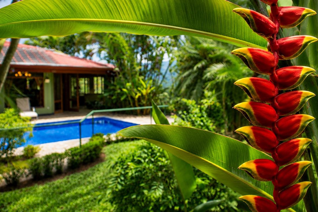 House in San José, Guanacaste Province, Costa Rica 3 - 18246374
