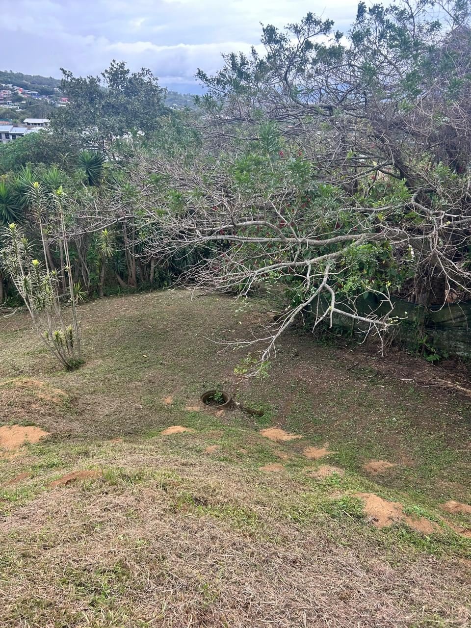 Land in Heredia, Heredia Province, Costa Rica 3 - 18241027