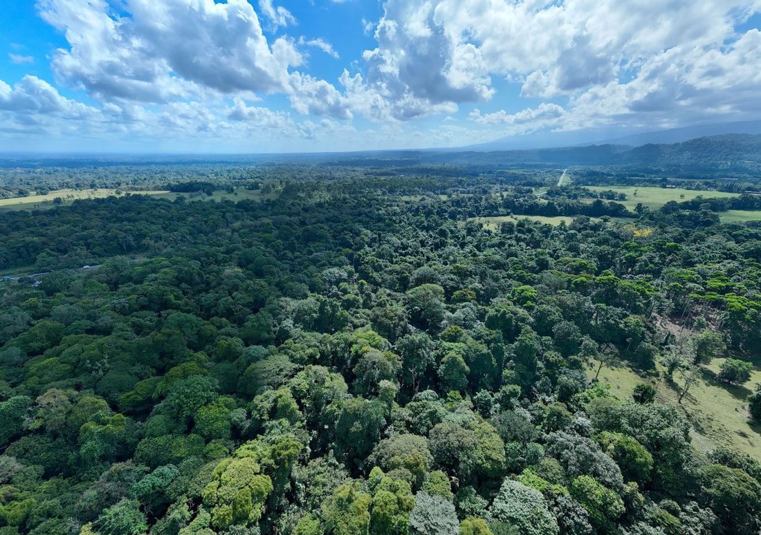 Land in Sarapiquí, Sarapiqui, Costa Rica 2 - 18240144