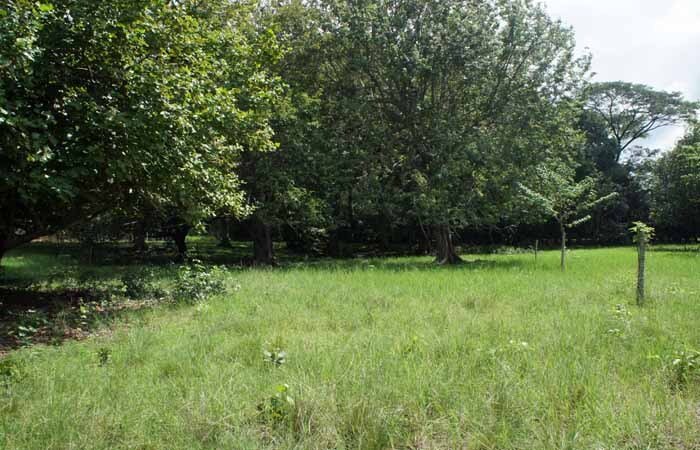 House in Carmen Beach, Puntarenas Province, Costa Rica 2 - 18235784