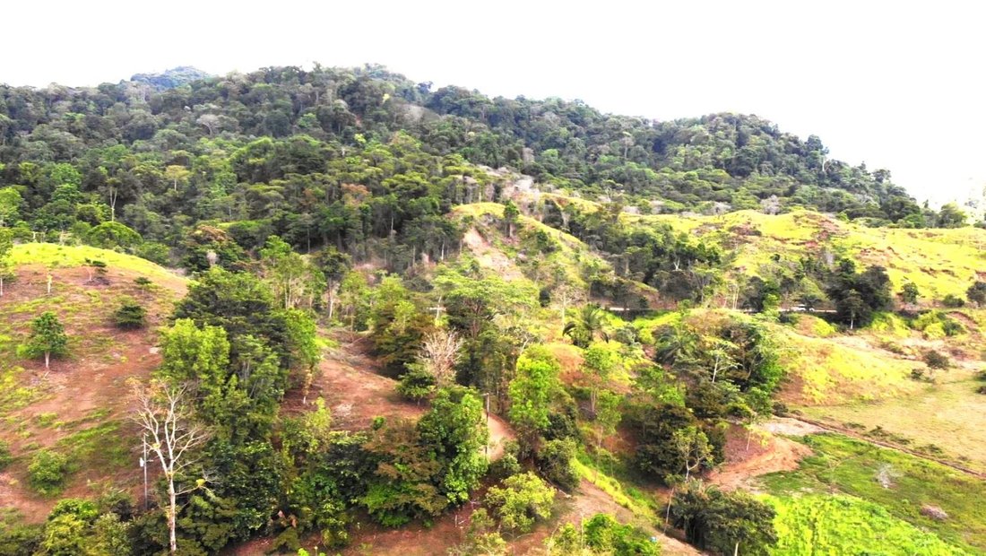 Land in Naranjito, Puntarenas Province, Costa Rica 2 - 18237732