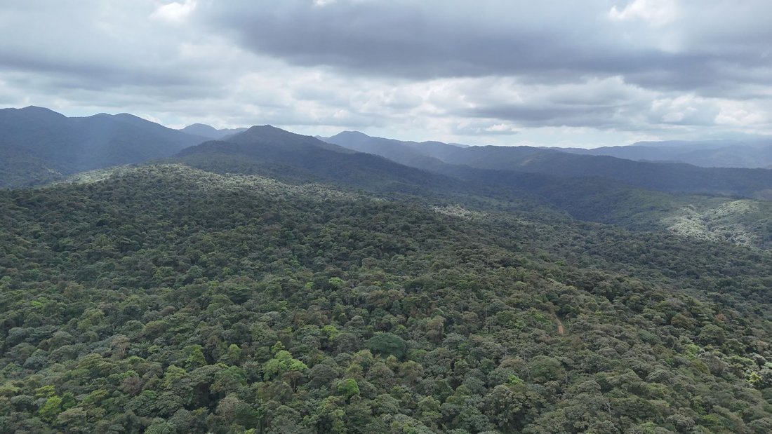 Land in San Ramón, San Ramón, Costa Rica 1 - 18241157