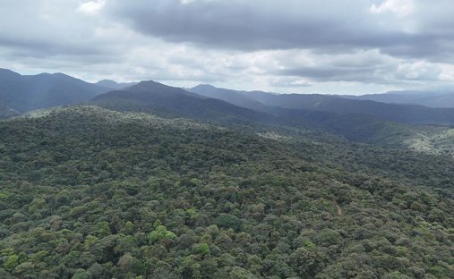 Land in San Ramón, San Ramón, Costa Rica 1