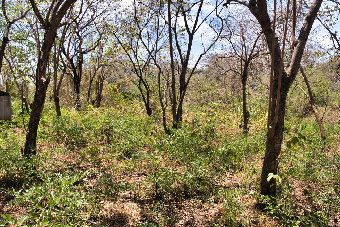 Land in Playa Pelada, Guanacaste Province, Costa Rica 2 - 18240149