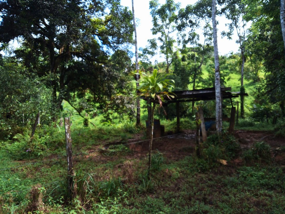 Land in Llano Bonito, Puntarenas Province, Costa Rica 5 - 18246622