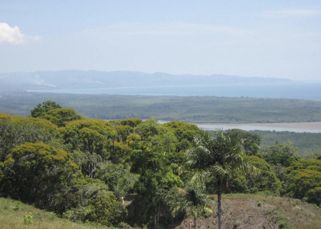 Land in Golfito, Puntarenas Province, Costa Rica 3 - 18246735