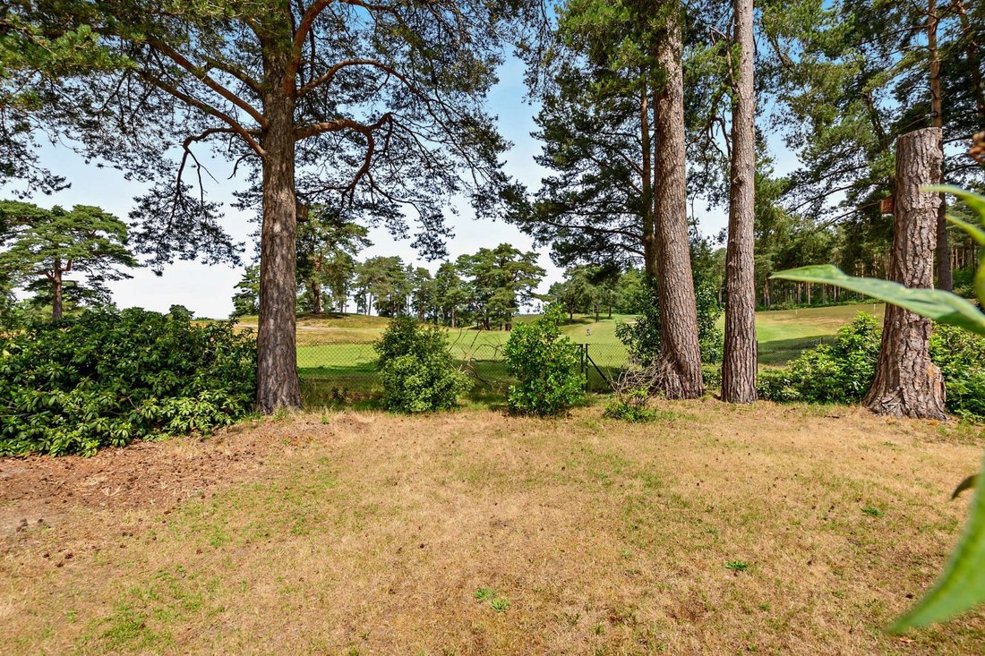 Bungalow in Guildford, England 2 - 18236998