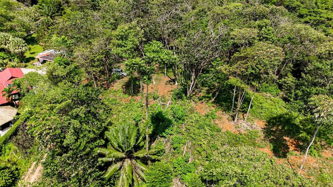 Land in Tortuga Arriba, Puntarenas Province, Costa Rica 3 - 18241278
