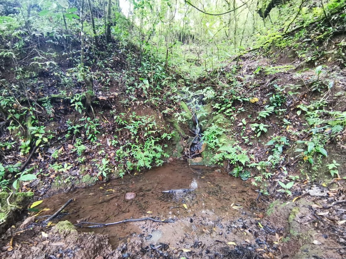 Terreno en Naranjo, Provincia de Alajuela, Costa Rica 2 - 18238485